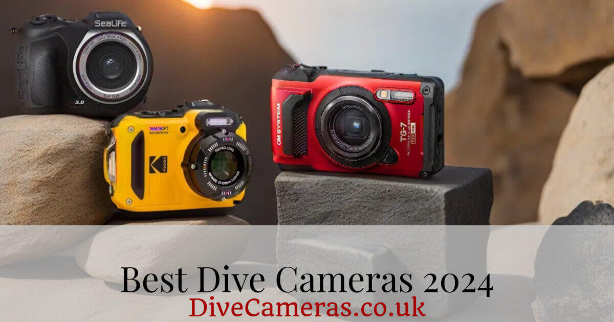 (c) Divecameras.co.uk